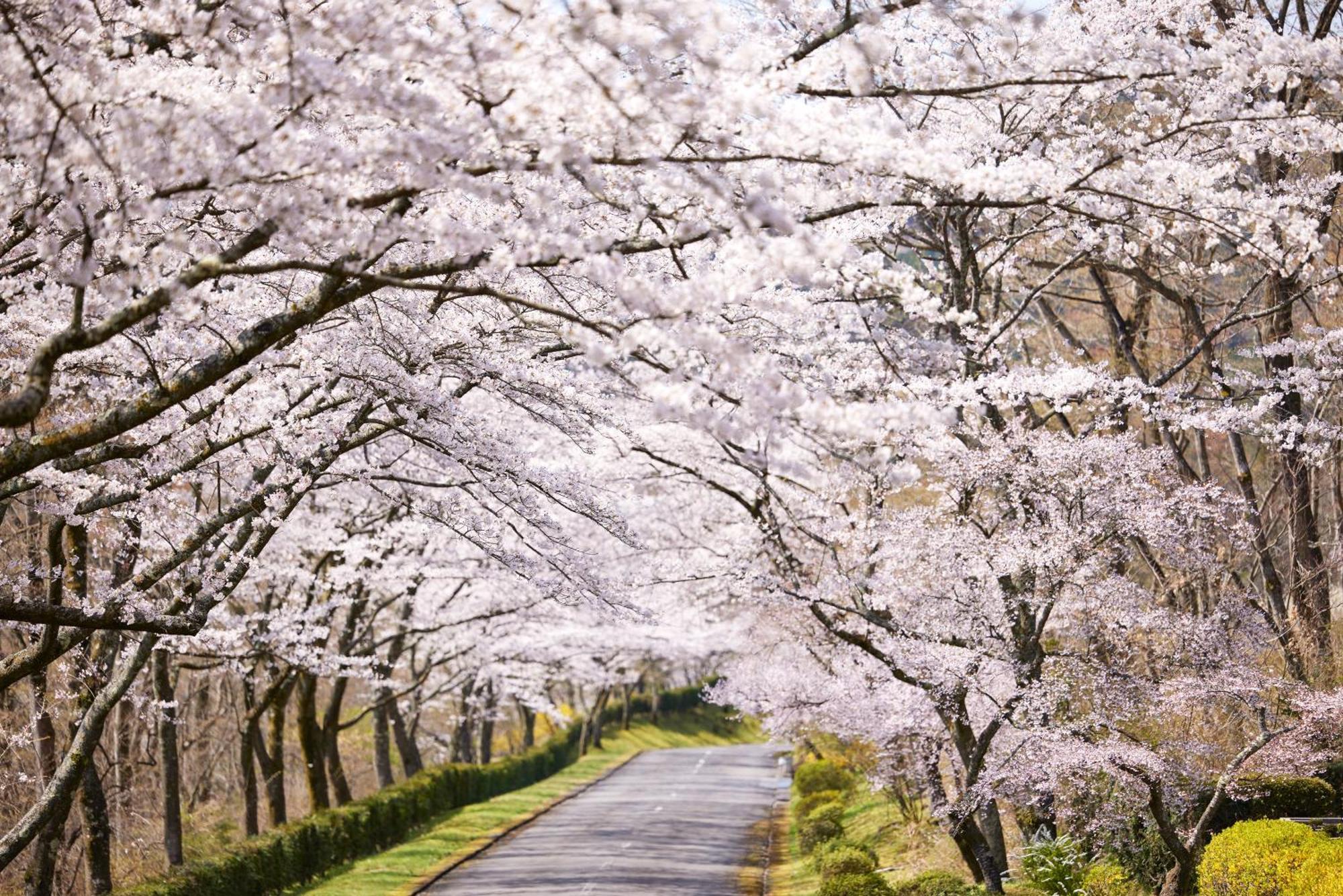 Fuji Speedway Hotel, In The Unbound Collection By Hyatt Oyama  Экстерьер фото